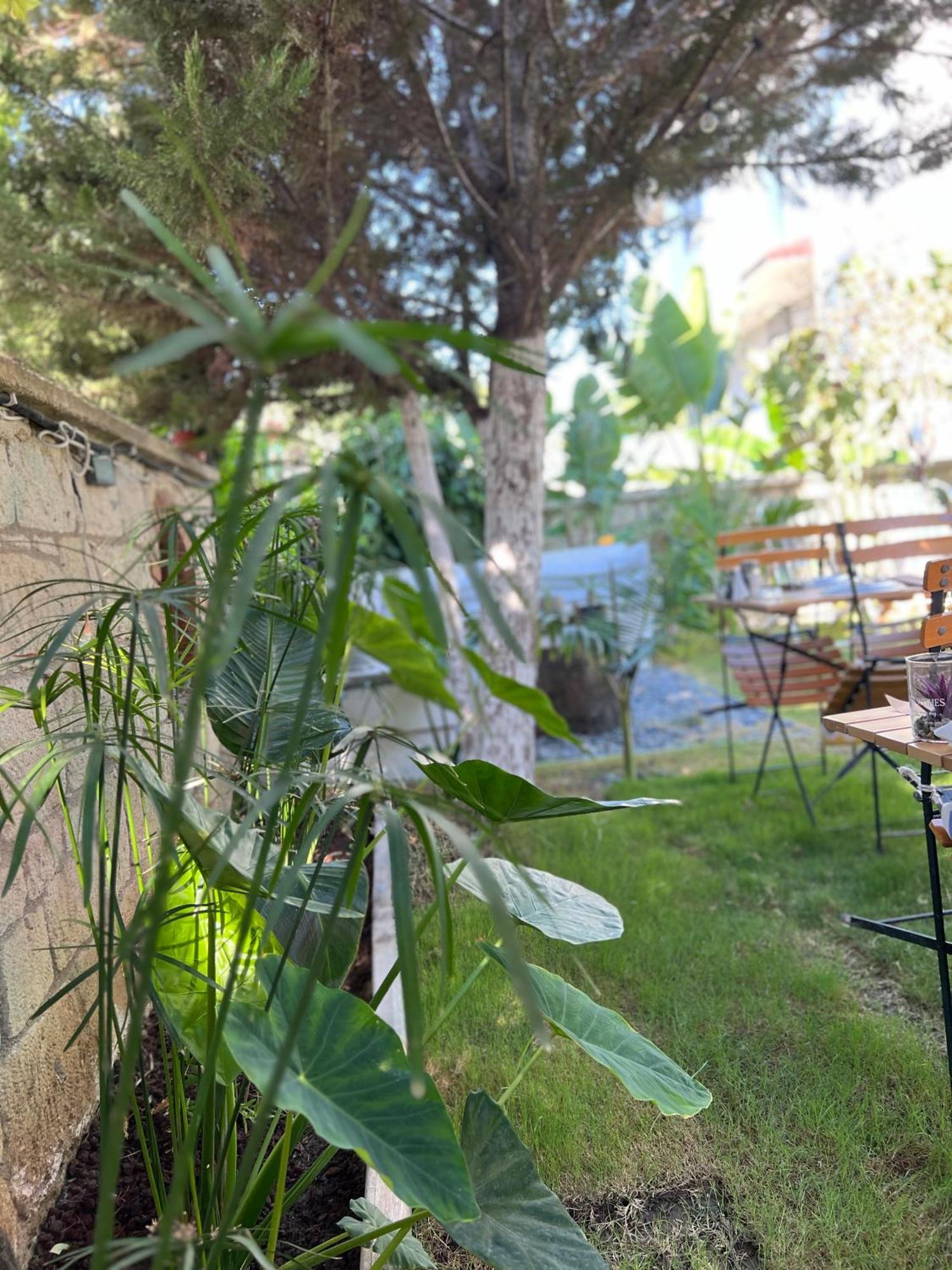 Luna Alaçatı Ngoại thất bức ảnh